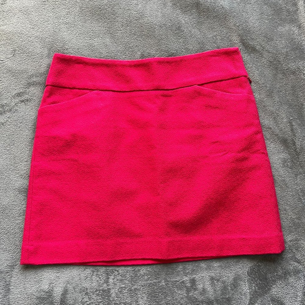 Hot Pink the Limited Skirt Size 6